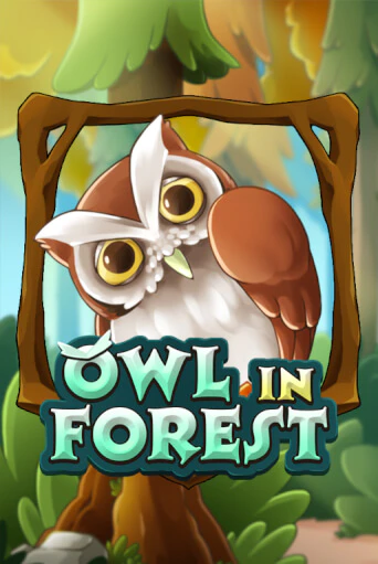 Бесплатная игра Owl In Forest | Вулкан Казино играть онлайн
