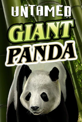 Бесплатная игра Untamed - Giant Panda | Вулкан Казино играть онлайн
