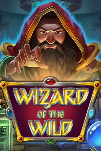 Бесплатная игра Wizard of the Wild | Вулкан Казино играть онлайн